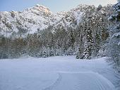 Immagini di sci nordico dalle piste dei Piani di Bobbio, di Schilpario e di Zambla (inverno 2010) - FOTOGALLERY